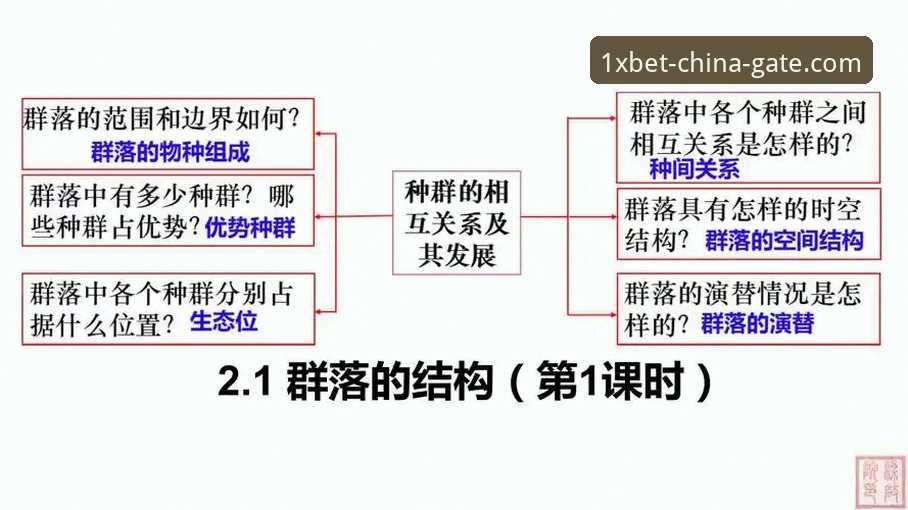 3种高效方案对比：XBET中国网页版的技术架构与投注体验评测